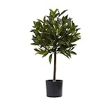Nearly Natural Sweet Bay Mini Ball Topiary, 2' [並行輸入品]