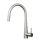 Lifbetter ワンホール キッチン 用 混合水栓 金具 蛇口 水道 エコシングル 水栓 ハンドシャワー 付き 洗面台 (ヘアライン)