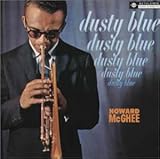 �_�X�e�B�E�u���[