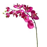 Orchid Single Stem 30 " – 島Fuschia