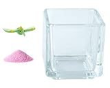 花市場直送便 ミニチュアガラス プテラノドン B & カラーサンド ラベンダー & 植え込み用グラス ニューブロックS