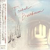 �g���C�o�� �x�[�g�[���F��