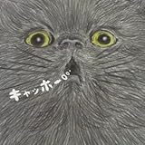 Amazon カリキュラム 依布サラサ J Pop ミュージック