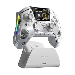 BYYB ManbaOne V2 PC コントローラー 多機能LCD ドリフト防止 ホールスティック搭載