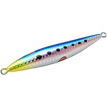 Amazon.co.jp: ライズジャパン ライズジグ 150g ＃RJ01シルバー