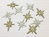 and.A ワッペン アイロン ミニ 花 星 10枚セット アイロンワッペン モチーフ アップリケ ハンドメイド (星・ゴールド＆シルバー)