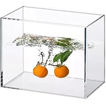 アクリル水槽　アクリルケース 41ZHvREqbGL._AC_UL210_SR210,