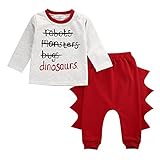 ベビー　子供服　綿　長袖　Ｔシャツ　ロングパンツ　2点セット　女の子　男の子　可愛い　恐竜服　超柔らかい　キッズ　赤ちゃん服　旅行　スポーツ　記念撮影　普段着　パジャマ　プレゼント (90)