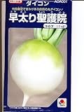 早太り聖護院 タキイの大根種です