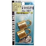 WAKI TWE 同一キーシリンダー錠 20mm 2個付
