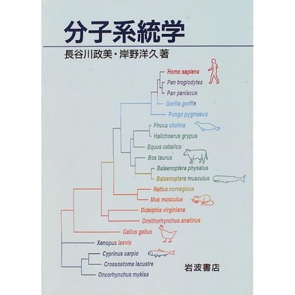 分子進化と分子系統学 分子系統学への統計的アプローチ -計算分子進化学- | Ziheng