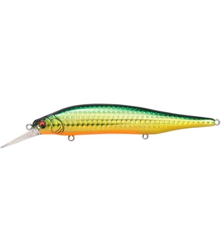Amazon.co.jp: メガバス(Megabass) X-80 MAGNUM+1 GG アカキンイワシCH