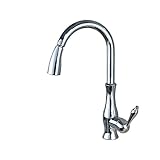 Rozin キッチン用 じゃぐち 混合水栓 クロムめっき 洗面所 台所用 蛇口 プルアウトスプレーノズルを装備