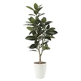 グリーン／観葉植物 ゴムの木 ゴム rubber tree rubbertree 室内 イミテーショングリーン 人工 造花 植物 大型 光触媒 おしゃれ グリーン 癒し ギフト プレゼント 消臭