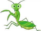Wallmonkeys WM159872 Cute Praying Mantis Cartoon Peel and Stick Wall Decals (18 in W x 14 in H) [並行輸