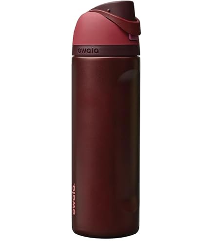 Owala FreeSip Insulated Stainless Steel Water Bottle with
