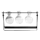 Fenteer ハンギングアイロン　花瓶　花　水耕栽培　テラリウム容器　6タイプ選べる - 3