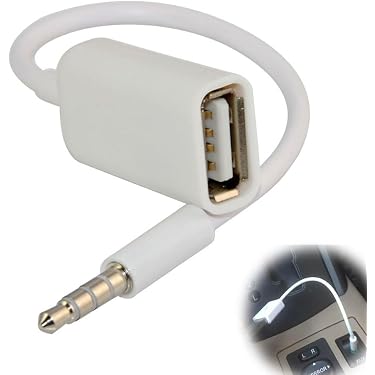 Amazon.co.jp 最新リリース: カーオーディオ用ケーブル の新着