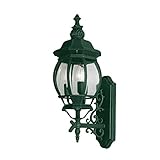Transglobe Lighting 4051 VG Outdoor Wall Light with Beveled Glass Shades, Verde Green Finished [並行輸入
