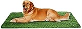 ホームCal Artificial Grass Rugシリーズ風景装飾人工芝アウトドアペット犬領域with Neatエッジ2 cm 3 ' x4 ' Spring Grass