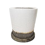 インテリアポット ヴィフポット ホワイト 15cm　皿付 ／植木鉢