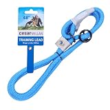 スリップリード シーザーミラン Cesar Millan【正規品】 長さ120cm 太さ1-1.2cm 【世界的 ドッグトレーナー 監修】犬 引っ張り防止 散歩 トレーニング 中型犬 大型犬 (ブルー, ラージ【大型犬用】目安30kg以上)