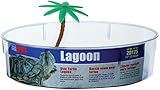 High quality Turtle Lagoon, Oval w/ Plant, 11-Inch by 8-1/2-Inch by 3-Inch