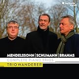 MENDELSSOHN, SCHUMANN & BRAHMS: COMPLETE PIANO TRIOS (輸入盤)