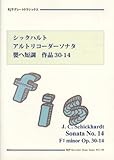 RG150 グレートクラシックス シックハルト/アルトリコーダーソナタ 嬰ヘ短調 作品30-14 (RJPグレートクラシックス)