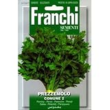 [ 西洋野菜 種 ] イタリアンパセリ コミューン