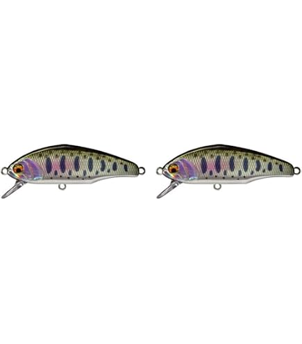Amazon.co.jp: スミス(SMITH LTD) ミノー D-インサイト 4g 44mm TS