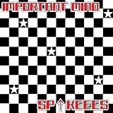 IMPORTANT MIND