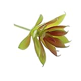 Dovewill 全11種類選ぶ　　人工多肉植物　プラスチック　観葉植物　　ホーム　装飾　　インテリア　 - 08