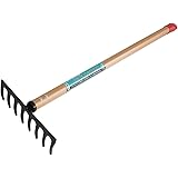 キンボシ(Kinboshi) ゴールデンスター(Kinboshi)芝生のサッチ取り(小)8本爪600ｍｍアルミ柄付4010