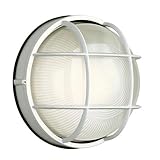 Philips Forecast F9039681NV Oceanview outdoor wall lantern, Matte White [並行輸入品]