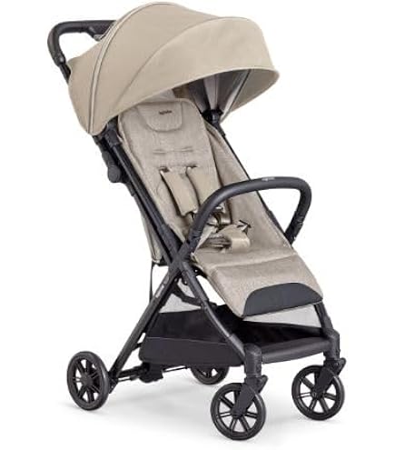 Amazon.co.jp: Inglesina QUID2α イングリッシーナ クイッド2α 【日本