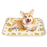 Peto-Raifu ２枚セット ペットマット 犬マット 犬ベッド 猫 夏用 ひんやり 接触冷感 クール 敷物 洗える ペットベッド 中型犬 犬用ベッド 犬クッション 掃除しやすい 滑り止め 肌触りよい 45*60cm ミカン柄