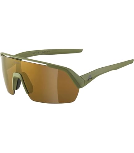 ALPINA スポーツメガネ 楽天市場】ALPINA アルピナ スポーツ サングラス ハイ