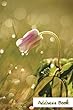 Address Book.: (Flower Edition Vol. 131)Glossy and Soft Cover, Large Print, Font, 6" X 9" for Contacts, Addresses, Phone Numbers, Emails, Birthday and More.