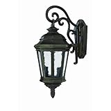 Alico Lighting 202MM Acclaim Lighting Marbleized Mahogany Finished Outdoor Sconce with Hammered Wate