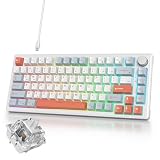 Ussixchare ブルーメカニカルキーボード 有線｜キーボード ゲーミング｜ボリュームノブ搭載｜ゲーミングキーボード 75%カスタム｜ガスケットマウント構造・RGBバックライト・ソフトウェア対応｜Cherry Profileプロファイル・PBTキーキャップ・5 層パッドとクリーミー リニア スイッチ、コンパクトな 82 キー (Light Blue/ホワイトスイッチ)