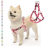 PUPTECK 犬 ハーネス 迷子札 犬 胴輪 犬用ハーネス 喉に優しいハーネス ペット用品 ドッグ はーねす 調節可能 着脱簡単 軽量 通気性 快適 負担が少ない 耐久性 引っ張り防止 安全 夜間反射 IDタグ付き 散歩 アウトドア しつけ 訓練 人気 可愛い おしゃれ 小型犬 中型犬 大型犬（デイジープリント、Mサイズ）