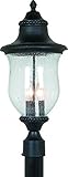 Artcraft Lighting Premiere 3-Light Outdoor Wall Sconce, Black [並行輸入品]