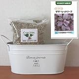 ベビーリーフ（サマーレッドリーフ）の栽培セット/標準セット（液体肥料無し）プランターホワイト仕様