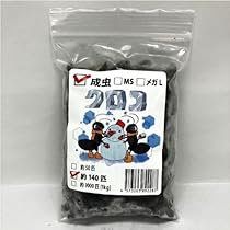 特価　訳アリ　冷凍コオロギ 約3キロ　袋入り Amazon | 【邑楽ファーム・クール便発送】冷凍クロコオロギ 成虫