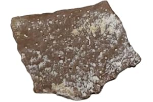 恐竜 卵 化石 本物 フランス産 13.92mm ケース付き プレゼント ギフト e104