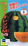 【種子】スイカ　サマーオレンジミドル 約8粒