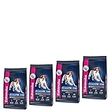 ユーカヌバ シニア ラム＆ライス シニア用 全犬種用 7歳以上 800g × 4 ニューパッケージ