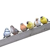 R-STYLE お庭の飾りに ガーデン置物 小鳥セット (小鳥6羽セット)