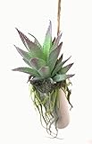 萩原 人工観葉植物 「プリトス」 約24cm 光触媒加工 ハンギングプランター 159019900